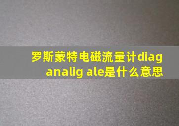 罗斯蒙特电磁流量计diag analig ale是什么意思